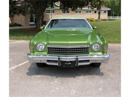 1974 Chevrolet Monte Carlo (CC-1223773) for sale in Maple Lake, Minnesota