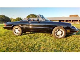 1990 Alfa Romeo Spider (CC-1224828) for sale in Wimauma, Florida