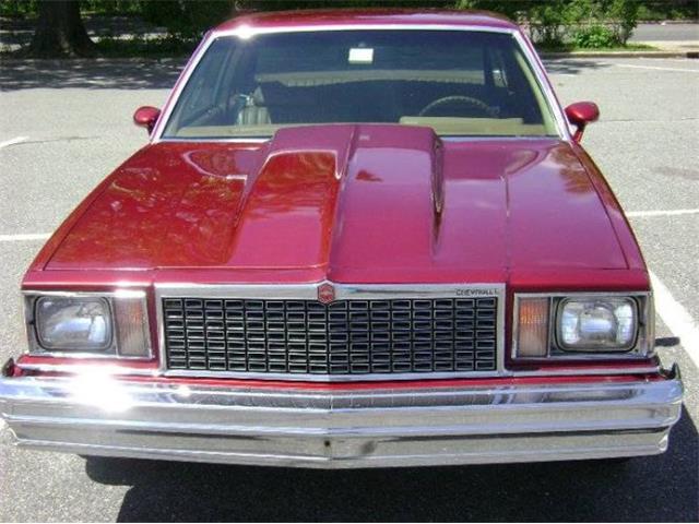 1978 Chevrolet Malibu (CC-1224978) for sale in Cadillac, Michigan