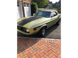 1973 Ford Mustang (CC-1225412) for sale in Cadillac, Michigan