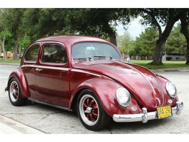 1956 Volkswagen Beetle (CC-1225445) for sale in Cadillac, Michigan