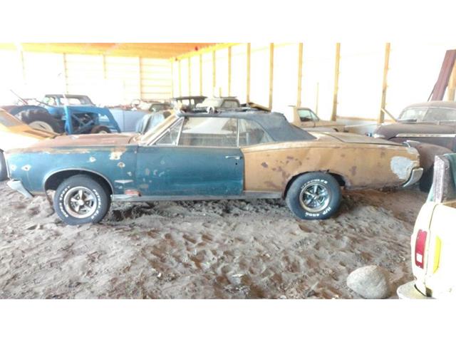 1967 Pontiac GTO (CC-1225554) for sale in Parkers Prairie, Minnesota