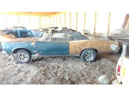 1967 Pontiac GTO (CC-1225554) for sale in Parkers Prairie, Minnesota
