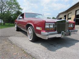 1981 Cadillac Eldorado Biarritz (CC-1225586) for sale in Mill Hall, Pennsylvania