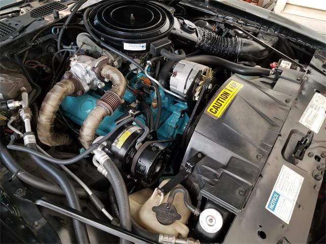 1981 Pontiac Firebird Formula (CC-1226036) for sale in Mill Hall, Pennsylvania