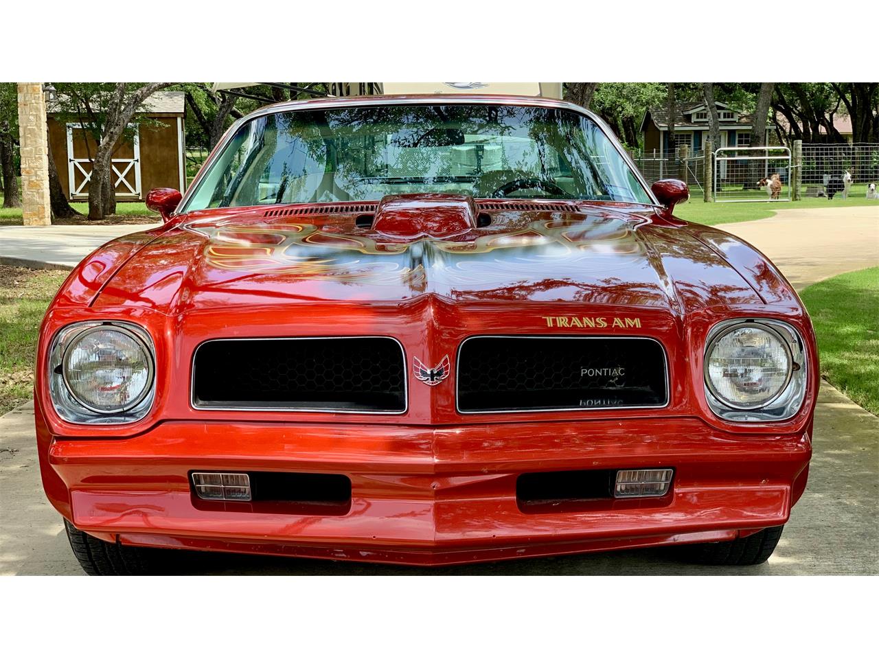 1976 Pontiac Firebird Trans Am for Sale | ClassicCars.com | CC-1226089