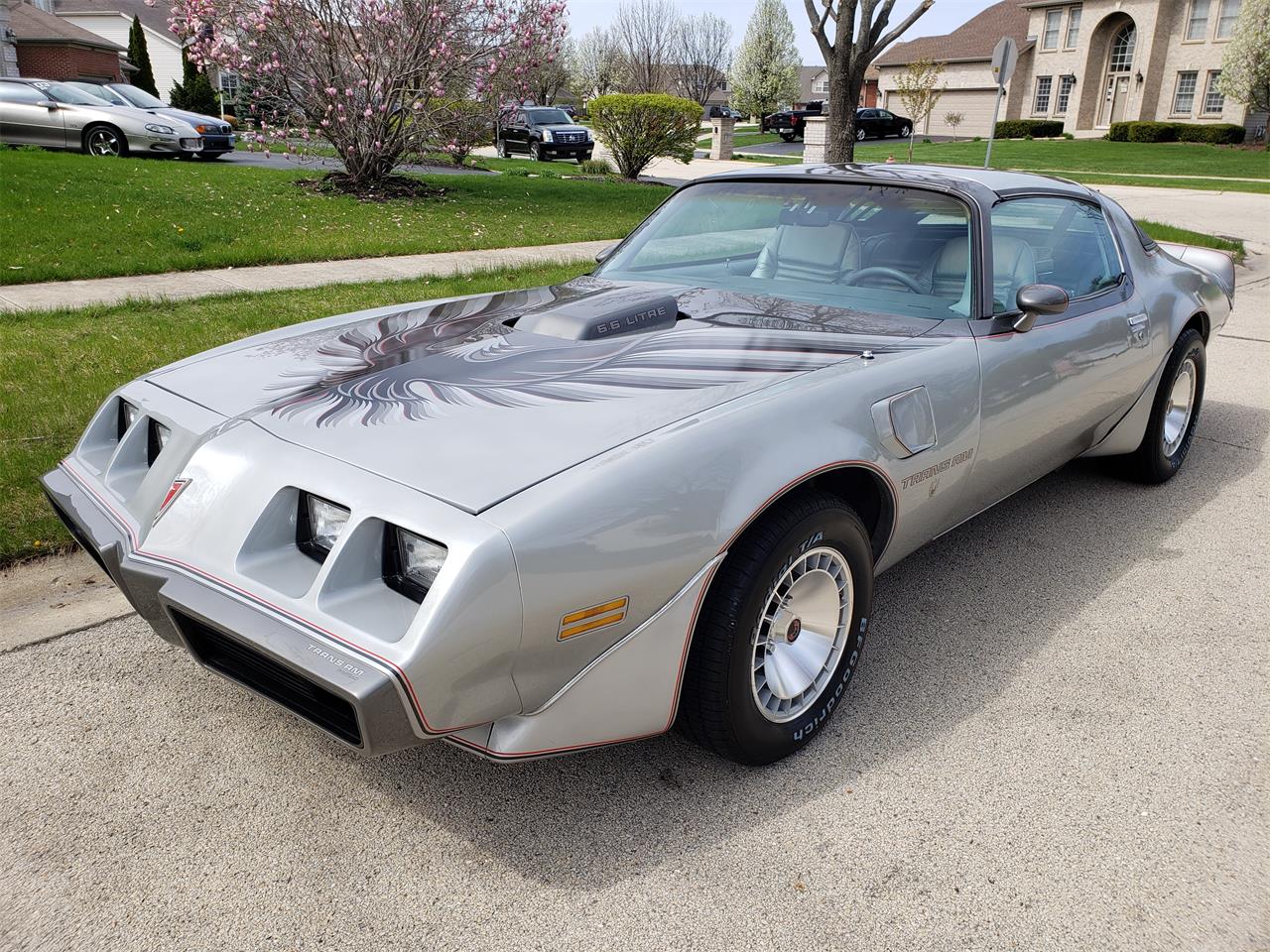 1979 Pontiac Firebird Trans Am SE for Sale | ClassicCars.com | CC-1220658