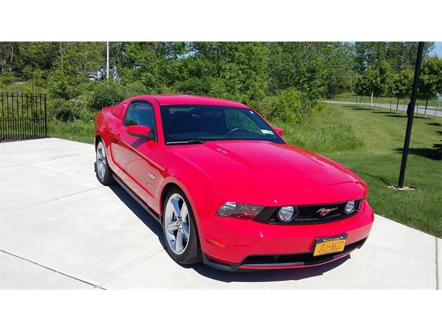 2011 Ford Mustang GT (CC-1226611) for sale in Buffalo, New York