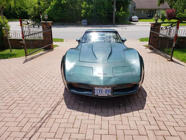1980 Chevrolet Corvette (CC-1226923) for sale in Toronto, Ontario