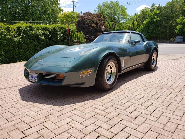 1980 Chevrolet Corvette (CC-1226923) for sale in Toronto, Ontario