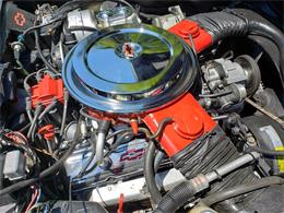1980 Chevrolet Corvette (CC-1226923) for sale in Toronto, Ontario
