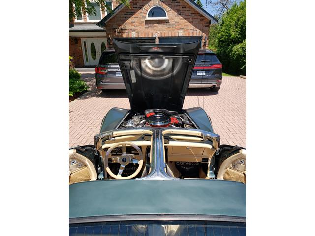 1980 Chevrolet Corvette (CC-1226923) for sale in Toronto, Ontario
