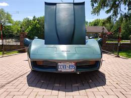 1980 Chevrolet Corvette (CC-1226923) for sale in Toronto, Ontario