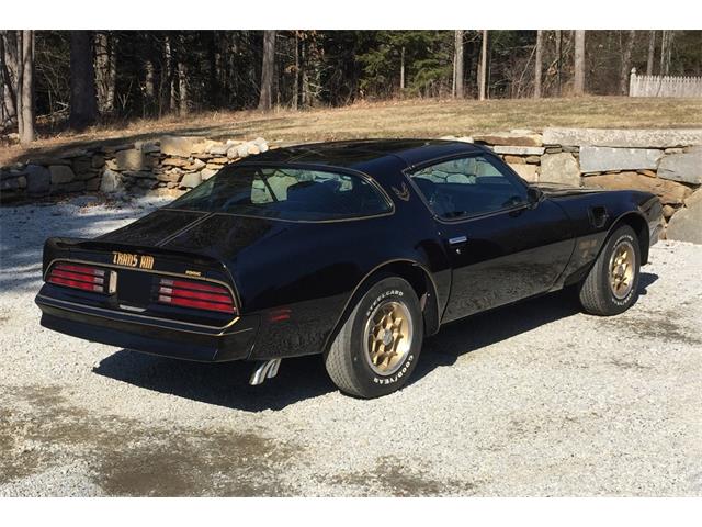 1976 Pontiac Firebird Trans Am for Sale | ClassicCars.com | CC-1227046