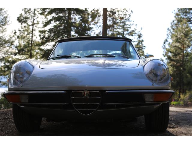 1973 Alfa Romeo Spider (CC-1228171) for sale in Kings Beach, California