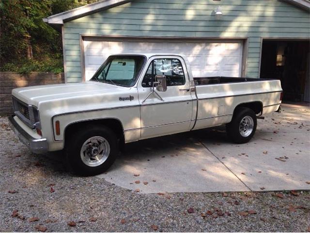 1974 Chevrolet C20 for Sale | ClassicCars.com | CC-1228245