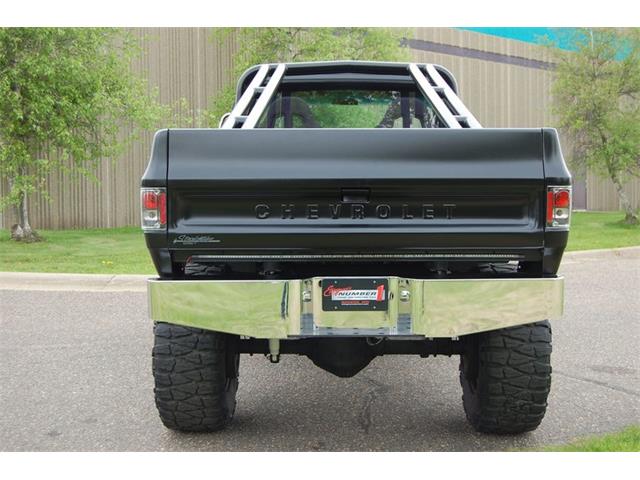 1974 Chevrolet 1/2-Ton Pickup (CC-1229249) for sale in Rogers, Minnesota