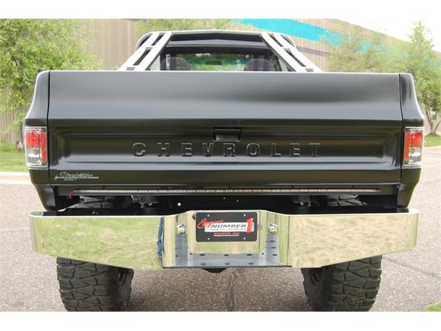 1974 Chevrolet 1/2-Ton Pickup (CC-1229249) for sale in Rogers, Minnesota