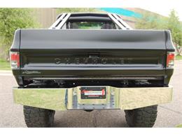 1974 Chevrolet 1/2-Ton Pickup (CC-1229249) for sale in Rogers, Minnesota