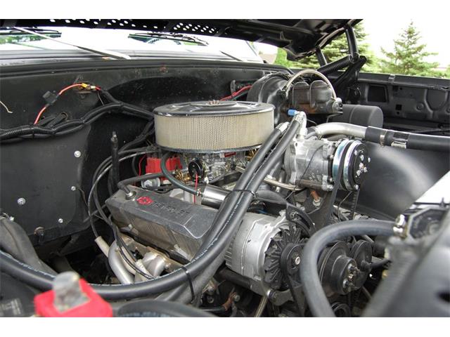 1974 Chevrolet 1/2-Ton Pickup (CC-1229249) for sale in Rogers, Minnesota