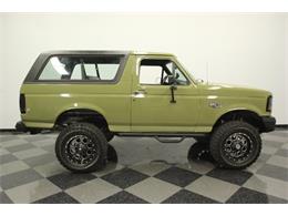 1996 Ford Bronco (CC-1230115) for sale in Lutz, Florida