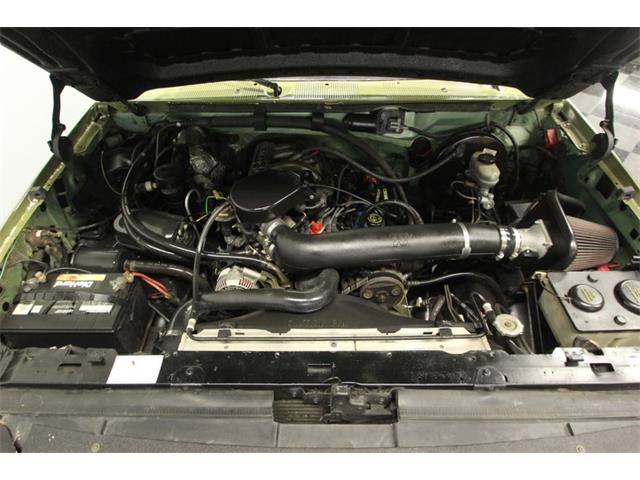 1996 Ford Bronco (CC-1230115) for sale in Lutz, Florida