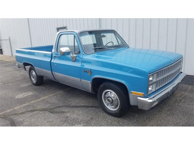 1981 Chevrolet Scottsdale (CC-1231221) for sale in Elkhart, Indiana