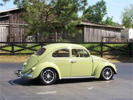 1960 Volkswagen Beetle (CC-1231276) for sale in Alpharetta, Georgia