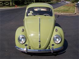 1960 Volkswagen Beetle (CC-1231276) for sale in Alpharetta, Georgia