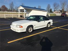 1989 Ford Mustang GT (CC-1231459) for sale in Hartford , Kentucky