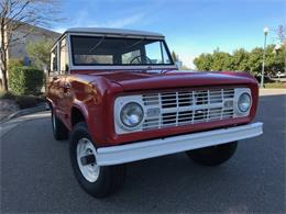 1966 Ford Bronco (CC-1231711) for sale in Napa Valley, California