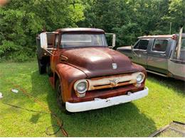 1954 Ford Pickup (CC-1232160) for sale in Cadillac, Michigan