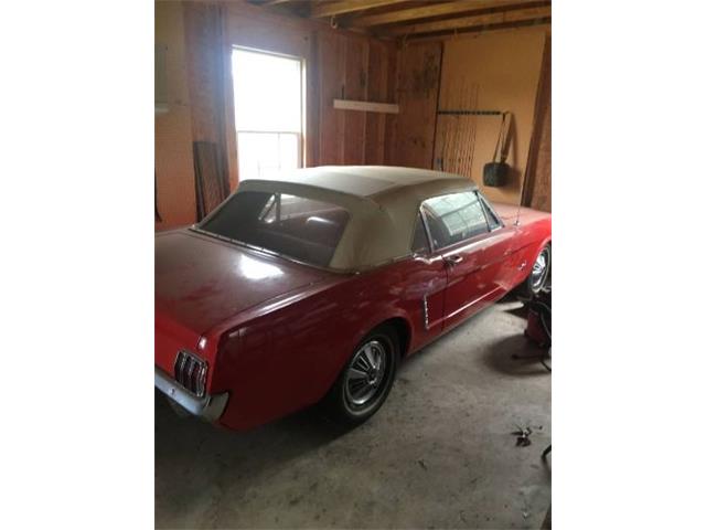 1964 Ford Mustang (CC-1232171) for sale in Cadillac, Michigan