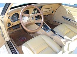 1976 Chevrolet Corvette (CC-1230230) for sale in Sarasota, Florida