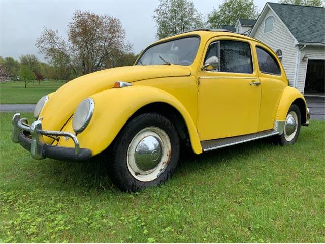 1964 Volkswagen Beetle (CC-1230282) for sale in Cadillac, Michigan