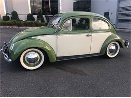 1954 Volkswagen Beetle (CC-1230283) for sale in Cadillac, Michigan