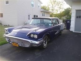 1959 Ford Thunderbird (CC-1233155) for sale in Cadillac, Michigan