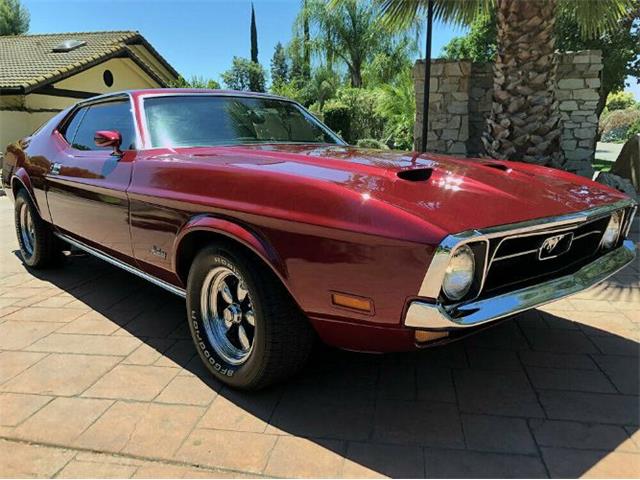 1971 Ford Mustang (CC-1233246) for sale in Cadillac, Michigan