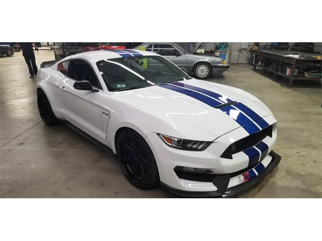 2017 Shelby GT350 (CC-1233298) for sale in Chatsworth, California