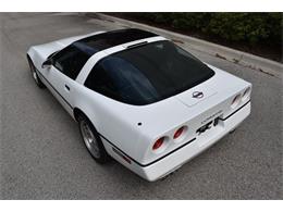 1990 Chevrolet Corvette (CC-1234150) for sale in Orlando, Florida