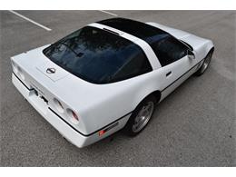 1990 Chevrolet Corvette (CC-1234150) for sale in Orlando, Florida