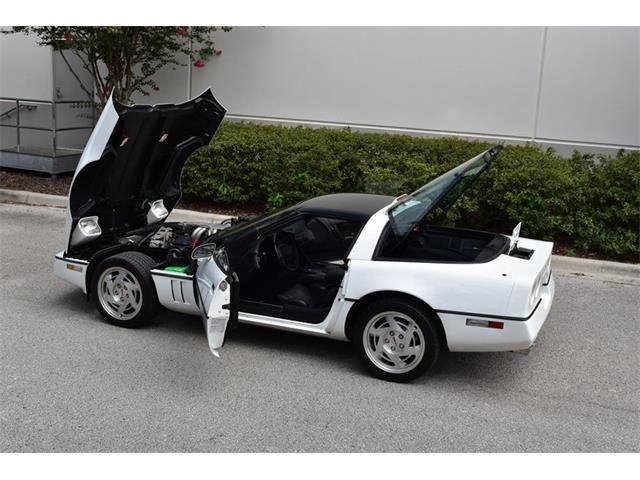 1990 Chevrolet Corvette (CC-1234150) for sale in Orlando, Florida