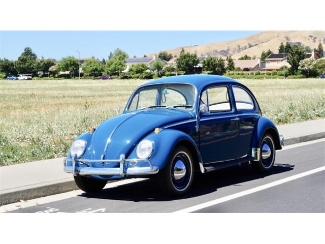 1965 Volkswagen Beetle (CC-1234446) for sale in Sparks, Nevada