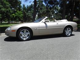 2000 Jaguar XK (CC-1234479) for sale in Thousand Oaks, California