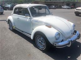 1979 Volkswagen Super Beetle (CC-1236420) for sale in Mill Hall, Pennsylvania