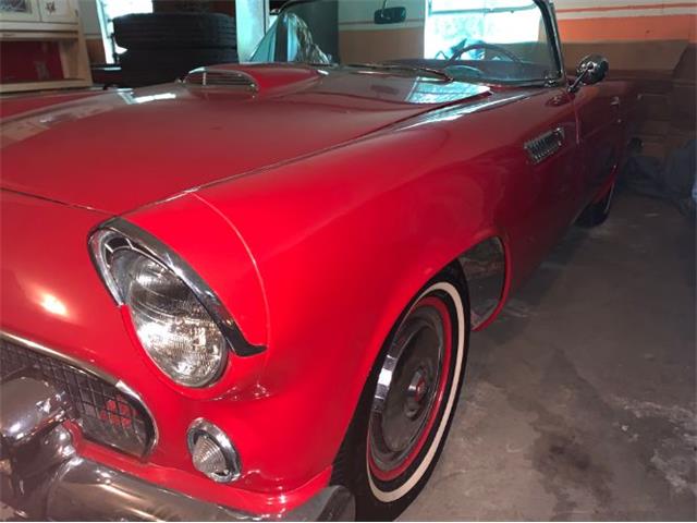 1955 Ford Thunderbird (CC-1237299) for sale in Cadillac, Michigan