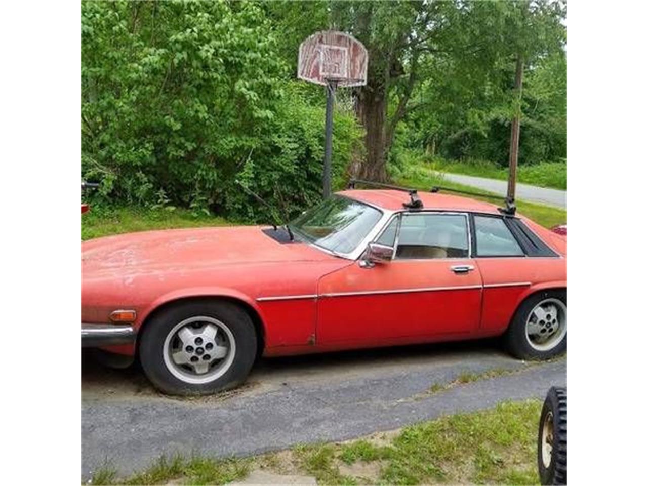 1985 Jaguar XJS for Sale | ClassicCars.com | CC-1237653