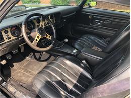 1976 Pontiac Firebird Trans Am (CC-1237938) for sale in Greensboro, North Carolina