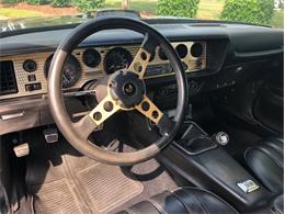 1976 Pontiac Firebird Trans Am (CC-1237938) for sale in Greensboro, North Carolina