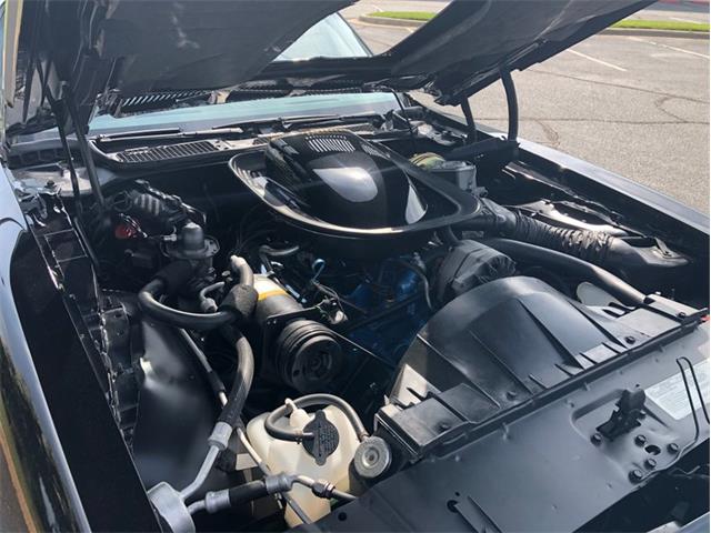 1976 Pontiac Firebird Trans Am (CC-1237938) for sale in Greensboro, North Carolina